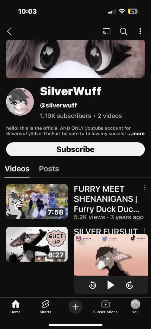Thumbnail What Happened to Silverwuff? - Furry by Not_s0fia