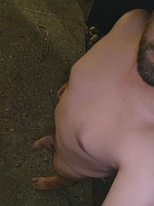 Thumbnail Midnight Gardening Delights: Join Tsart_tobin's Journey