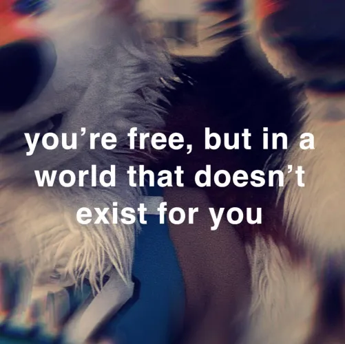 Thumbnail Inconveniently Cute: Exploring Furry Wonders