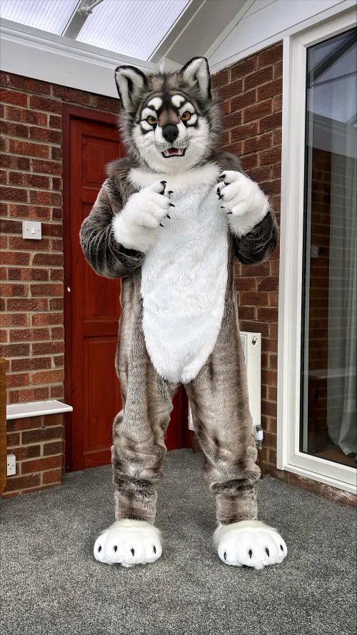 Thumbnail Feeling Aruff by smog_the_wolf | Furry