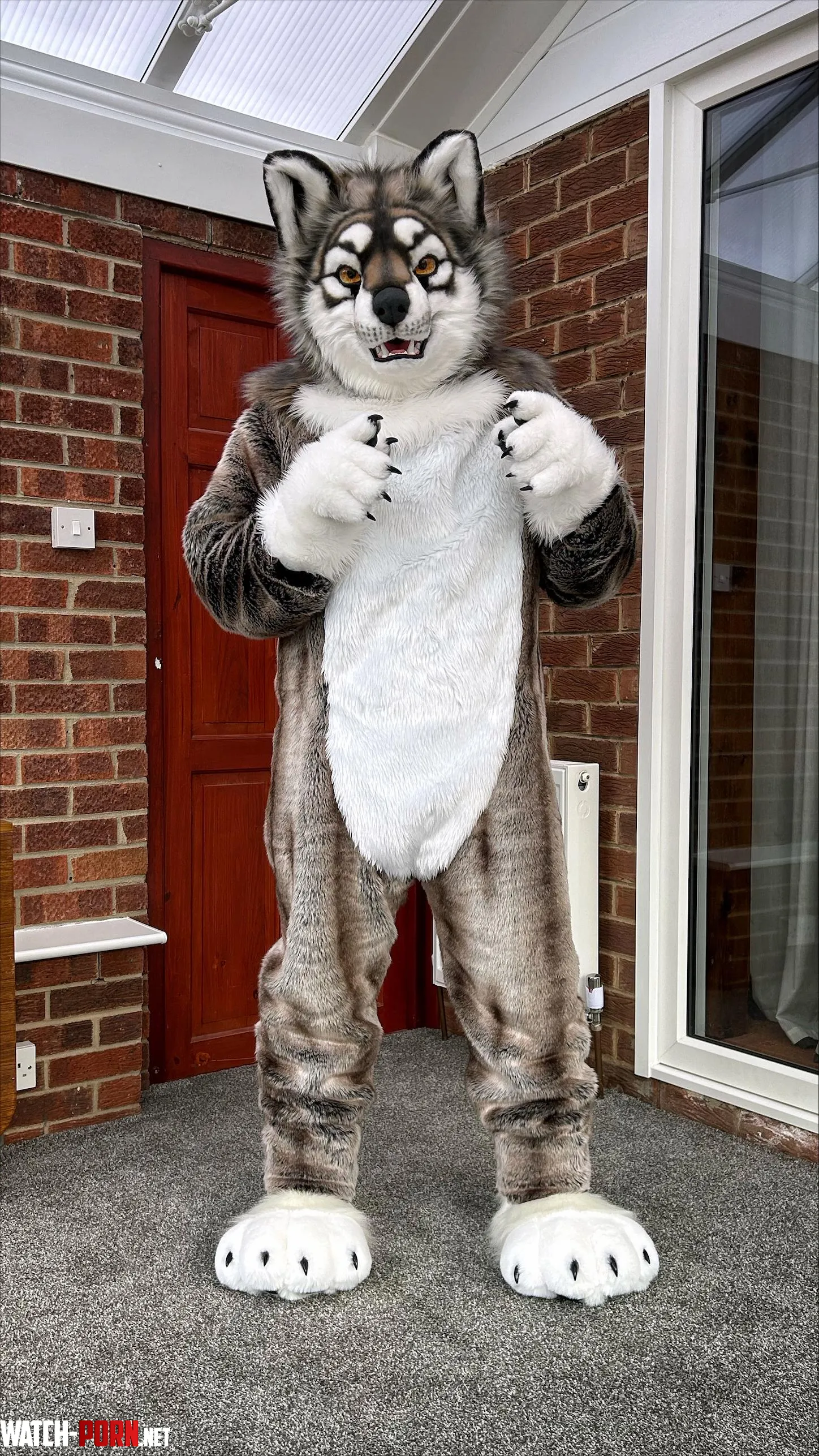 Feeling Aruff by smog_the_wolf