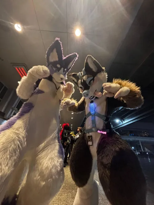 Thumbnail PreyingShark's Ode to Tall Girls: An Admirable Read
