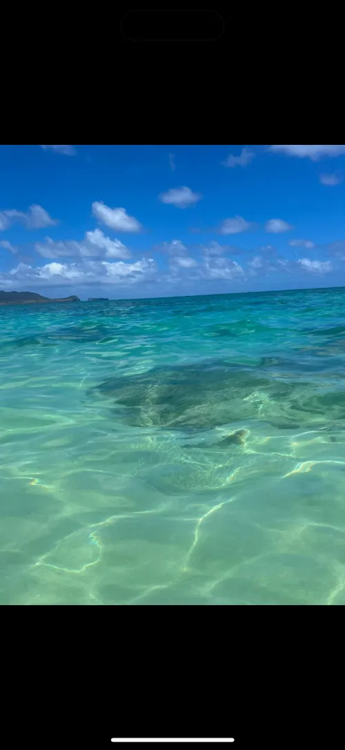 Thumbnail Discovering Paradise: Lanikai Beach in Hawaii - daturaflora | beach