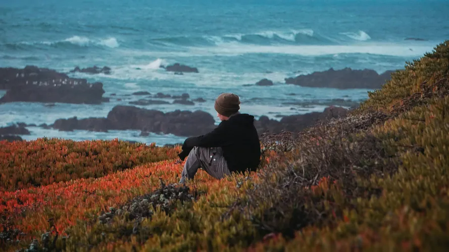 Thumbnail Explore California's Stunning San Gregorio State Beach