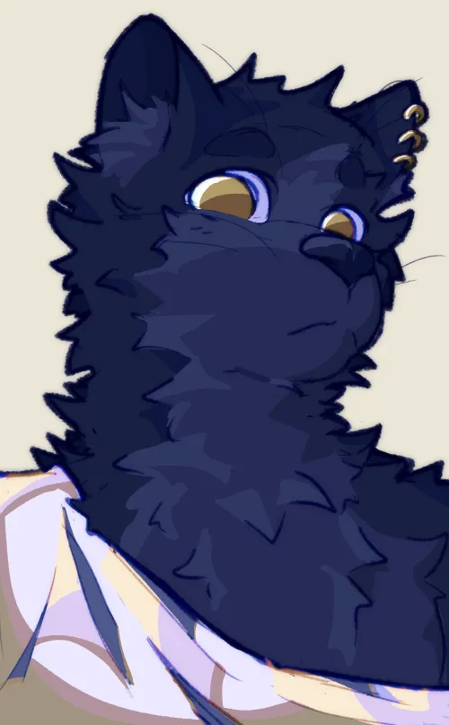 Thumbnail Stare by netinhovo | furry Category
