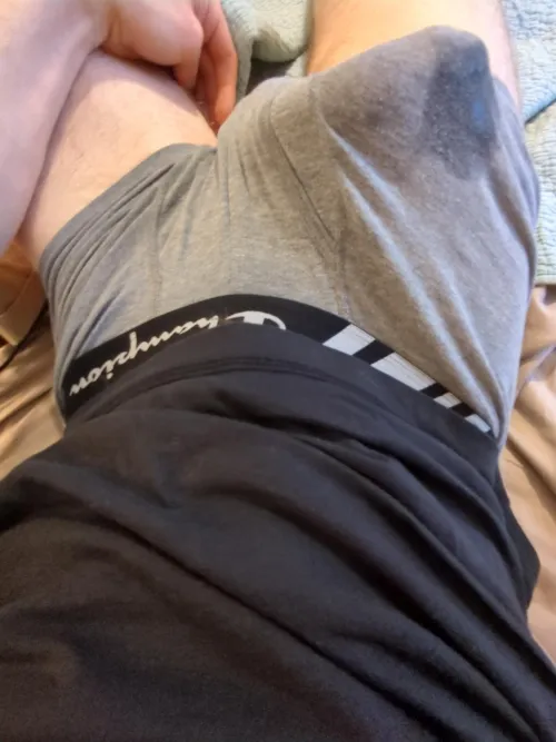 Thumbnail Full-Ad-1856's Pre-cum Revelation: 33 and Pan - Bulges