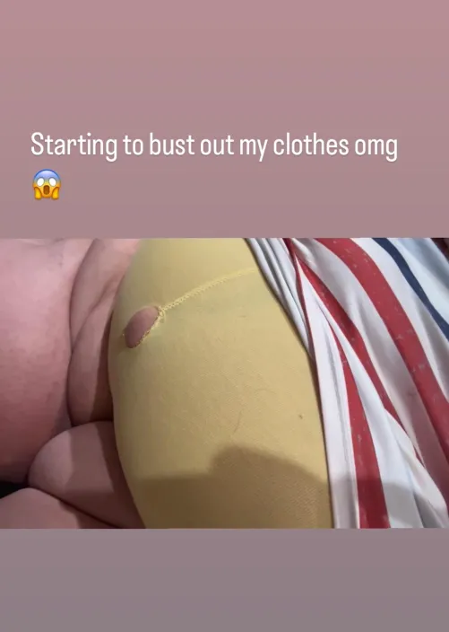 Thumbnail The Journey of Latinapiggy25 to Reach 700 Pounds - Stuffers Category by lovemehateme54