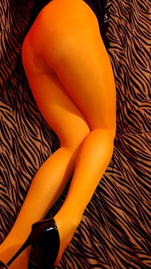 Thumbnail SympathyBig4207 Shines in Unusual Pantyhose Colors
