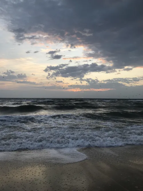 Thumbnail Serenity After the Rain: Kuwait Beach Beauty - Dania_Adel | beach