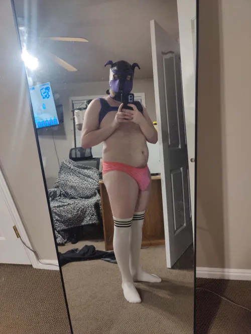 Thumbnail Dress Me Up by Sub_Pupper in the Petplay Category