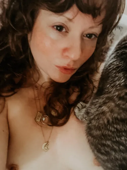Thumbnail Capturing Cute Cats and More with babycatsarekittens in SexyFrex