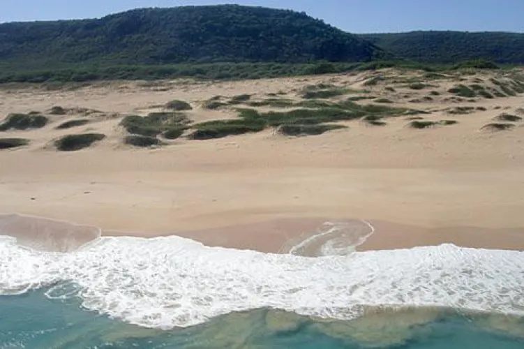 Thumbnail Unwind in Niihau: A Tranquil Beach Getaway - colapepsikinnie | beach