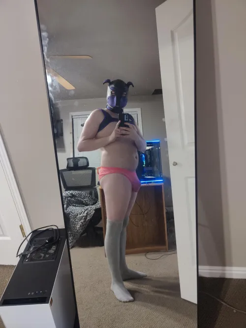 Thumbnail Socks & Panties Lover: Explore Sub_Pupper's Style | Petplay