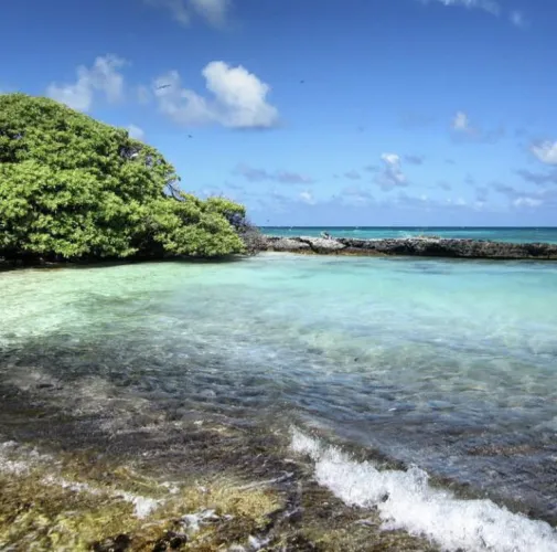 Thumbnail Lisianski Island Exploration: Unveiling the Beauty of Northwest Hawaii