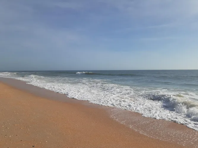 Thumbnail Scenic Strolls: Wander through 'A Perfect Walk' by beachcoquina