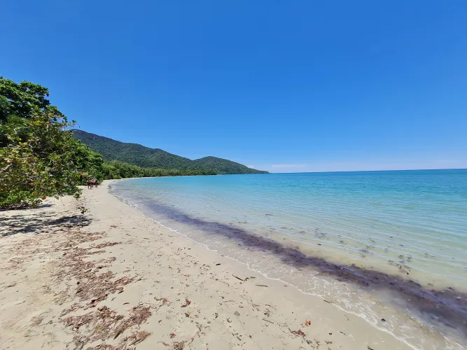 Thumbnail Crocodile Beach Adventure: Paradise Found in Cape Tribulation, QLD