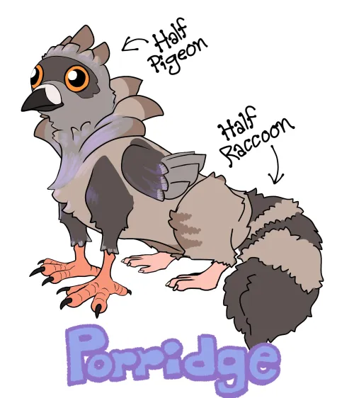 Thumbnail Meet Porridge: The Enchanting Pidgecoon | Furry