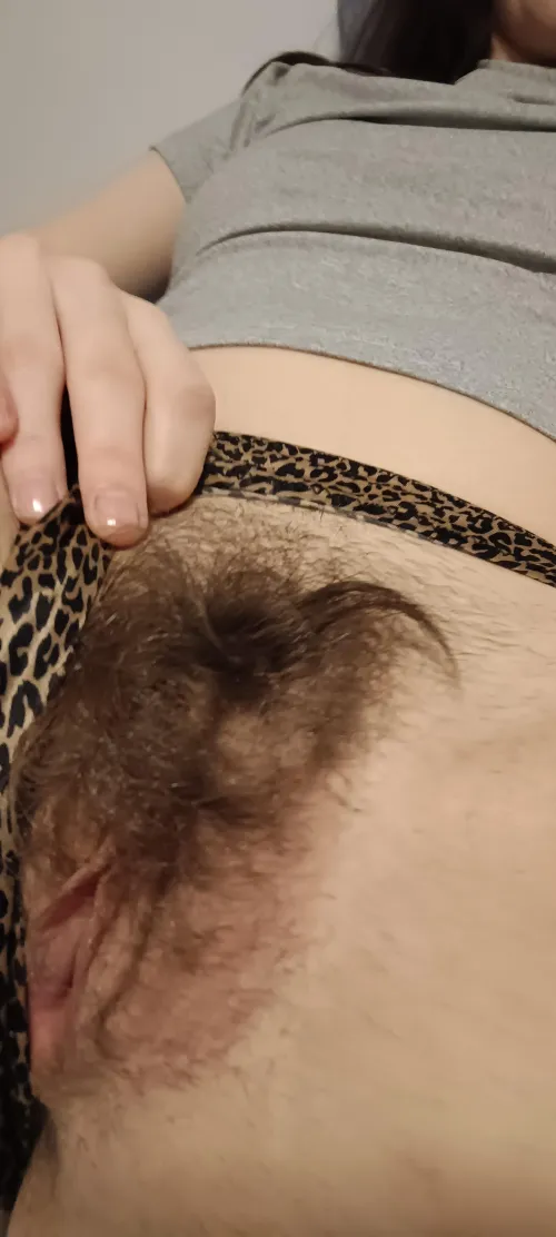 Thumbnail Discover Soft Curls in HairyPussy - A Review by lapetiteaudrey