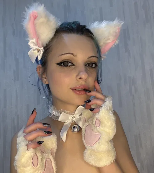 Thumbnail Enjoying a New Soft-Colored Collar: Insights from _blue_river_ in the Collared Category