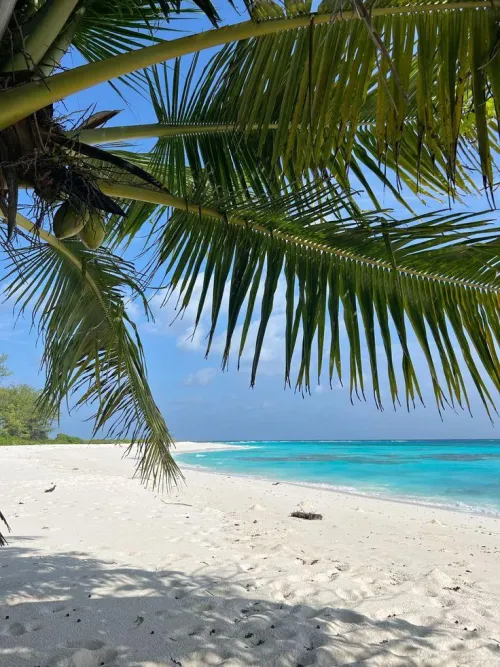Thumbnail Island Discoveries: Explore 'Bird Island Seychelles' by yeuxdusphynx