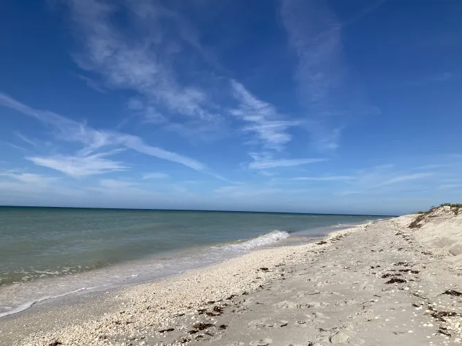Thumbnail Explore the Beauty Off Captiva Island