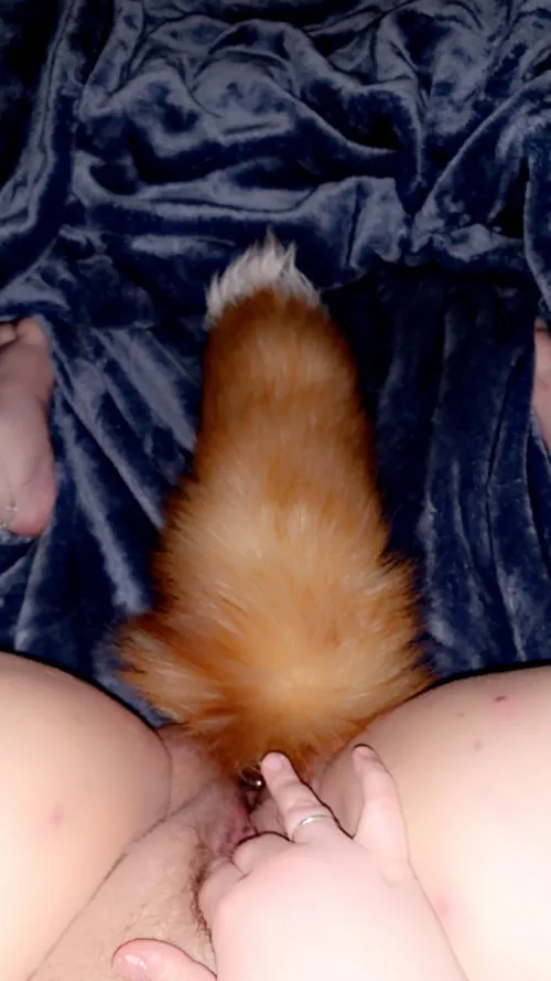 Thumbnail Unauthorized Pet Play: Playing Without Permission from Owner