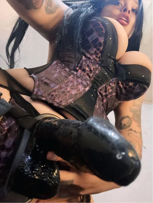 Thumbnail Embarking on a New Journey: Cock Worship Unveiled | Azukar_Nasty_
