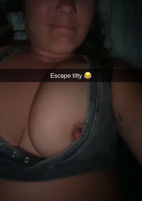 Thumbnail Unleashed Nipple Adventures - MommyOnTheLoose Feature