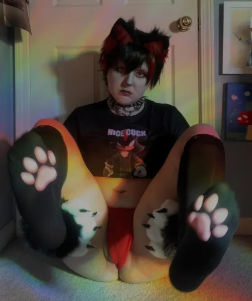 Thumbnail Playtime Fun with Shadow: Let's Play Together