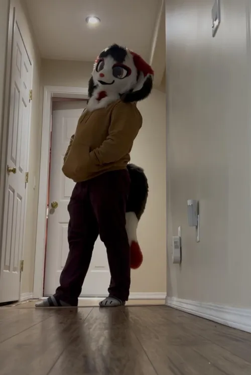 Thumbnail Celebrating 11 Years of Furry Fandom: Womkaz's Suit Reveal