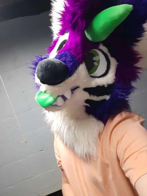 Thumbnail Adhd_braindelay Introduces the Charming Pippers in Furry Style