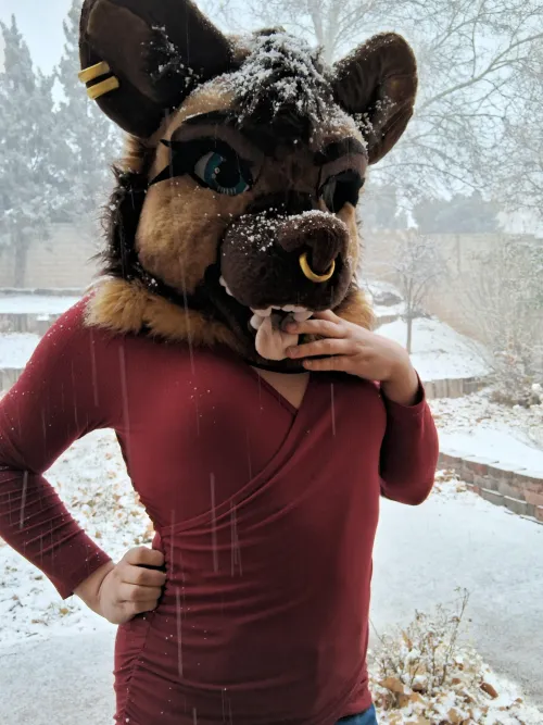 Thumbnail First Snow Sightings: Furry Wonders by FoxYeen