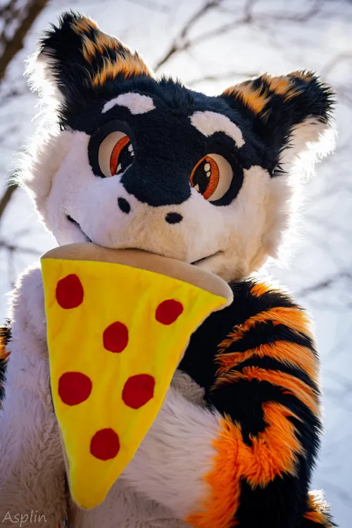 Thumbnail Discover the Fascinating World of Furry Art with SilySox