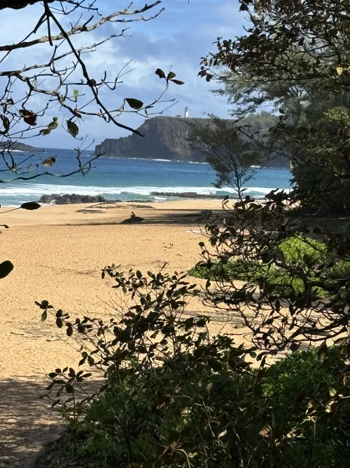 Thumbnail Unveiling Secret Beach Kauai HI with not_yr_avg_jo