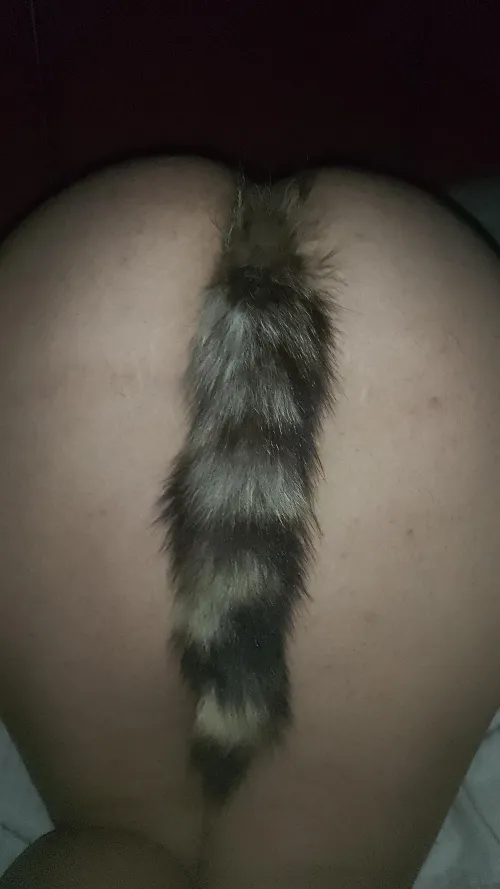 Thumbnail Embracing Anal Pleasures: jenifer_lpz's Confessions in AnalGW