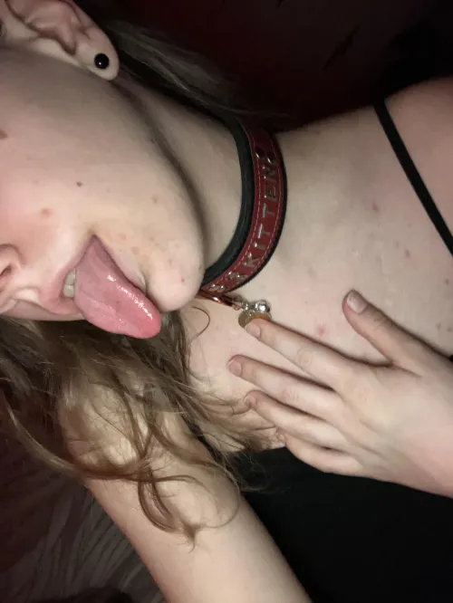 Thumbnail Pouncing Kitten - BabyBunny320's Playful Side