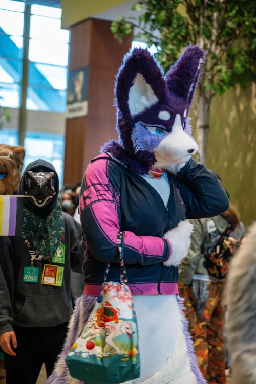 Thumbnail Spoil Me by PreyingShark | Furry Category
