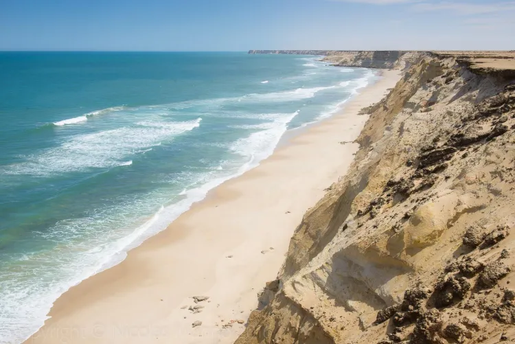 Thumbnail Western Sahara Wonders: A Beach Paradise by colapepsikinnie