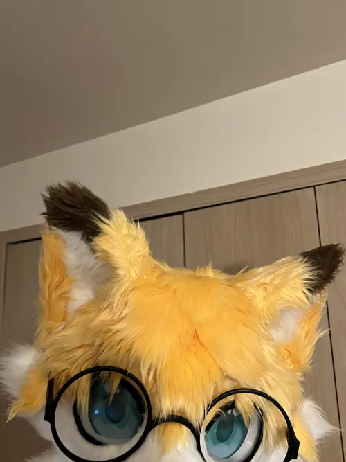 Thumbnail Unveiling who dat in the Furry Community by CatalopeSeats