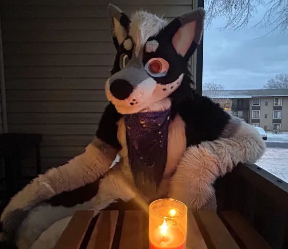 Thumbnail Cozy Winter Wishes from TheTallZiggy in the Furry World