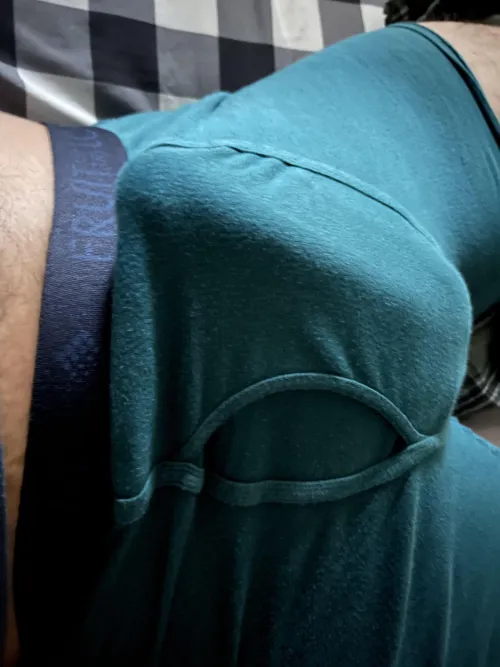 Thumbnail 20 Queer Woke Up Horny: Exploring Bulges | IcyActuary7706