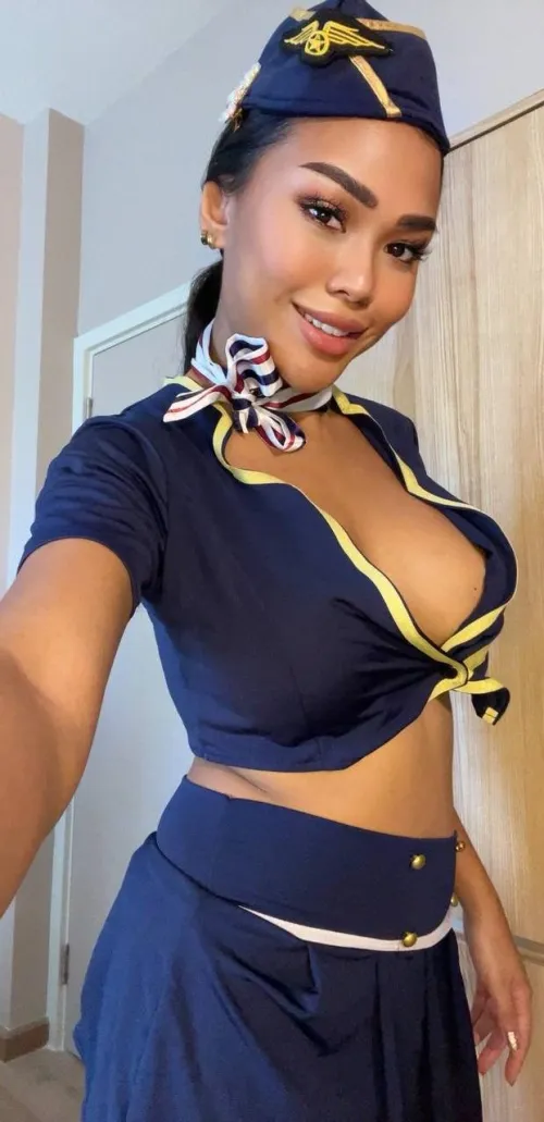 Thumbnail Flight Attendant Ready to Serve: Your Needs | meenathaiii