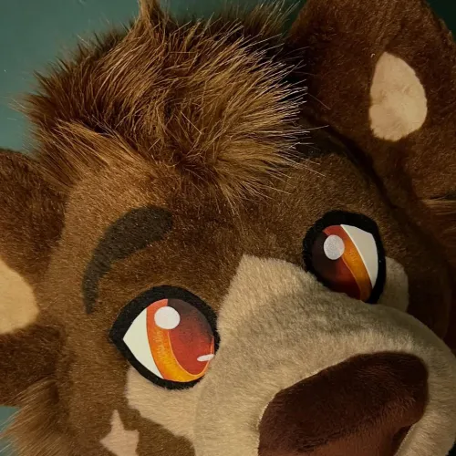 Thumbnail Exploring Furry Realms: brotherboofer Shares 'Costumesandmorefursuits'