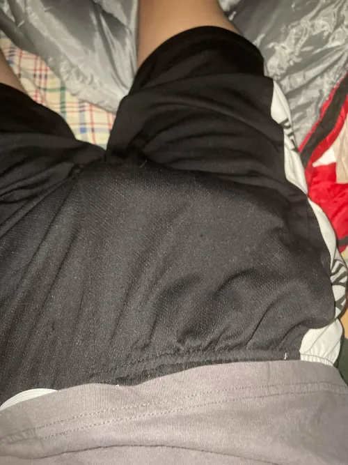 Thumbnail '19 straight pull it out' by Unusual_Muscle_198 | Bulges