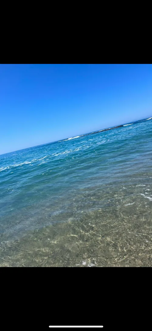 Thumbnail Laguna Beach Longing: daturaflora's Beach Memoir