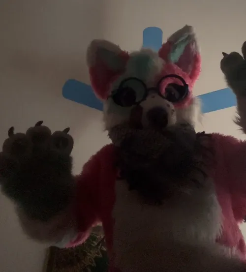 Thumbnail Celebrating Fursuit Friday: Still Sick but Happy | Ancient_Summer_1833