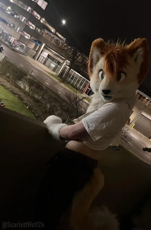 Thumbnail scarlettwolf24 Celebrates 'Happy Fursuit Friday' - Join the Fun