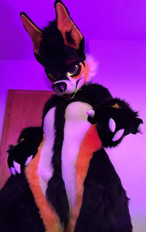 Thumbnail Exploring Furry Vibes in 'I Got That Dog in Me' by Foxgirl_Nova
