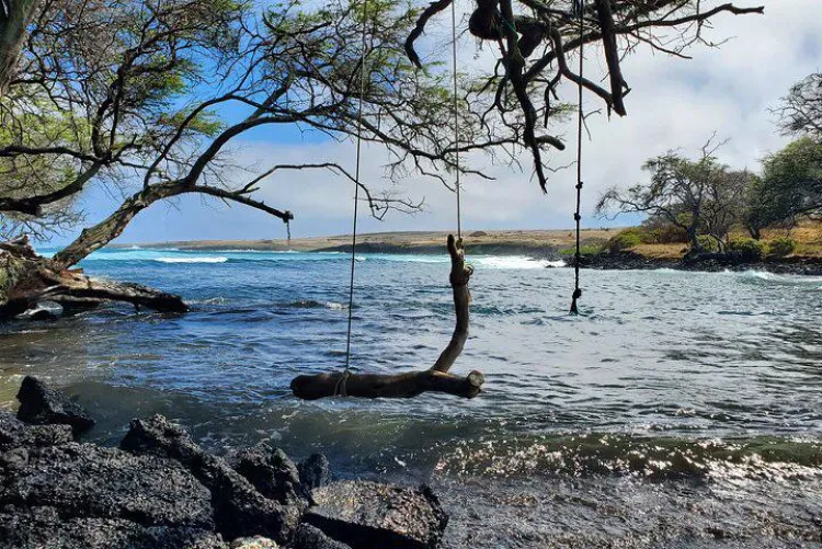 Thumbnail Swing into Hawaii's Beach Beauty | beach