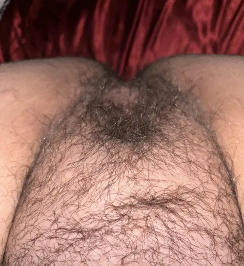 Thumbnail Hairy Wonders: 'Do You Want to Play with My Bush' by Wonderful_time_for69